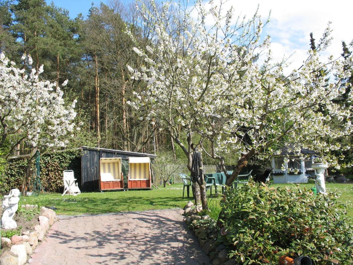 Uni - Luebeck Appartement Gross Gronau ภายนอก รูปภาพ
